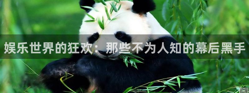 风暴娱乐官网：娱乐世界的狂欢：那些不为人知的幕后黑手