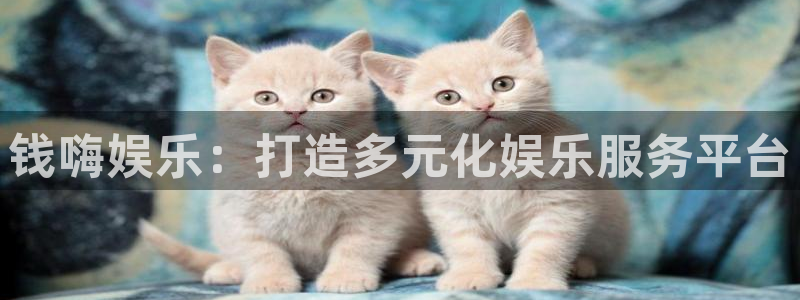风暴娱乐登录：钱嗨娱乐：打造多元化娱乐服务平台