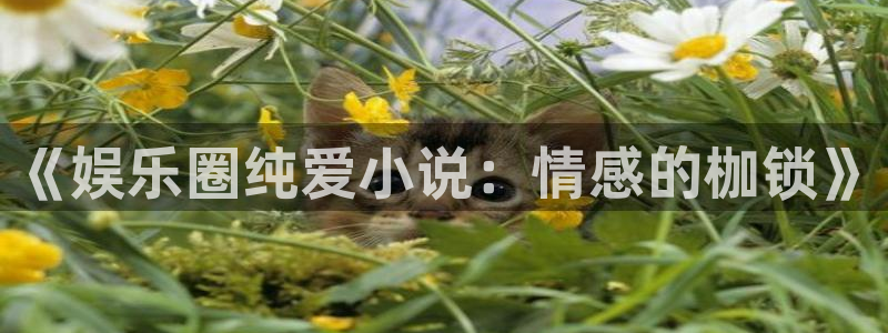 风暴娱乐：《娱乐圈纯爱小说：情感的枷锁》