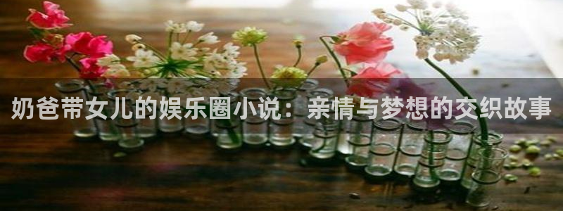 风暴娱乐登录地址：奶爸带女儿的娱乐圈小说：亲情与梦想的交织故事