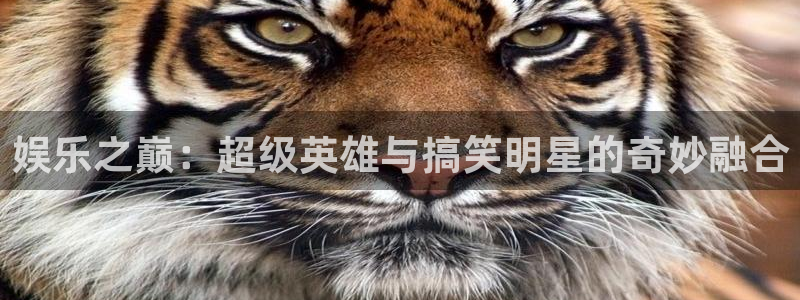 风暴娱乐登录入口：娱乐之巅：超级英雄与搞笑明星的奇妙融合