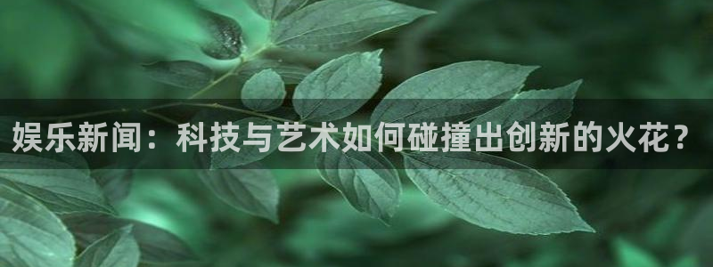 风暴娱乐登录：娱乐新闻：科技与艺术如何碰撞出创新的火花？