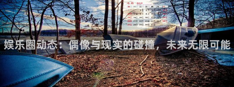 风暴娱乐官网：娱乐圈动态：偶像与现实的碰撞，未来无限可能