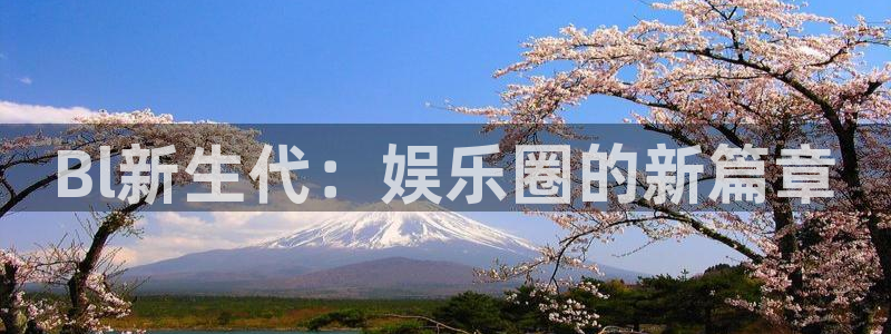 风暴娱乐：Bl新生代：娱乐圈的新篇章