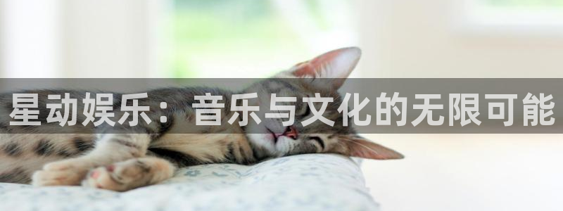 风暴娱乐登录入口：星动娱乐：音乐与文化的无限可能