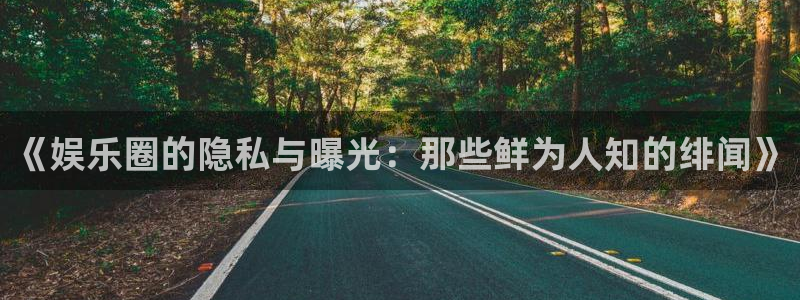 风暴娱乐登录：《娱乐圈的隐私与曝光：那些鲜为人知的绯闻》
