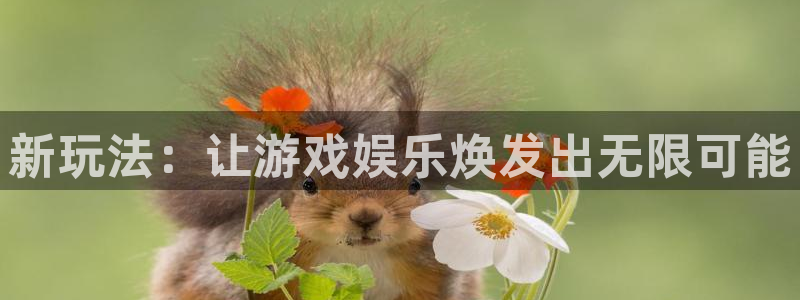 风暴娱乐登录入口：新玩法：让游戏娱乐焕发出无限可能